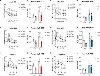 GLP-1 receptor agonist improves metabolic disease in a pre-clinical model of lipodystrophy
